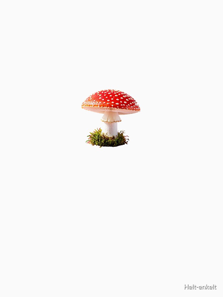 Fly Agaric Mushroom: Toxic Name, Iconic Fame by Helt-enkelt