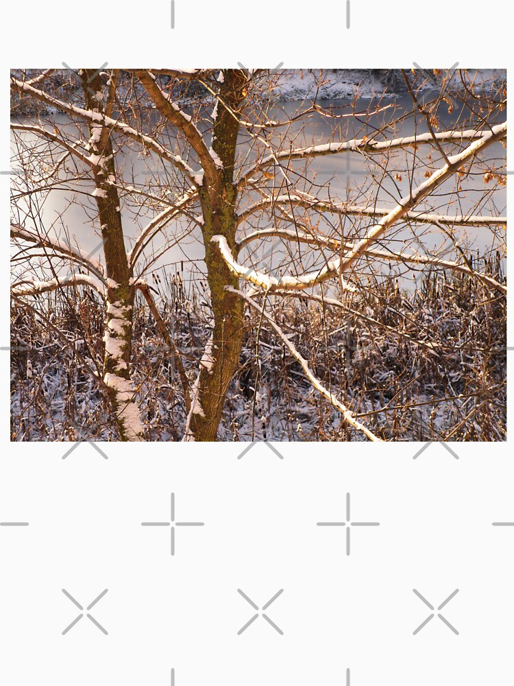 Winter tree photography | Winter landscape by lausn