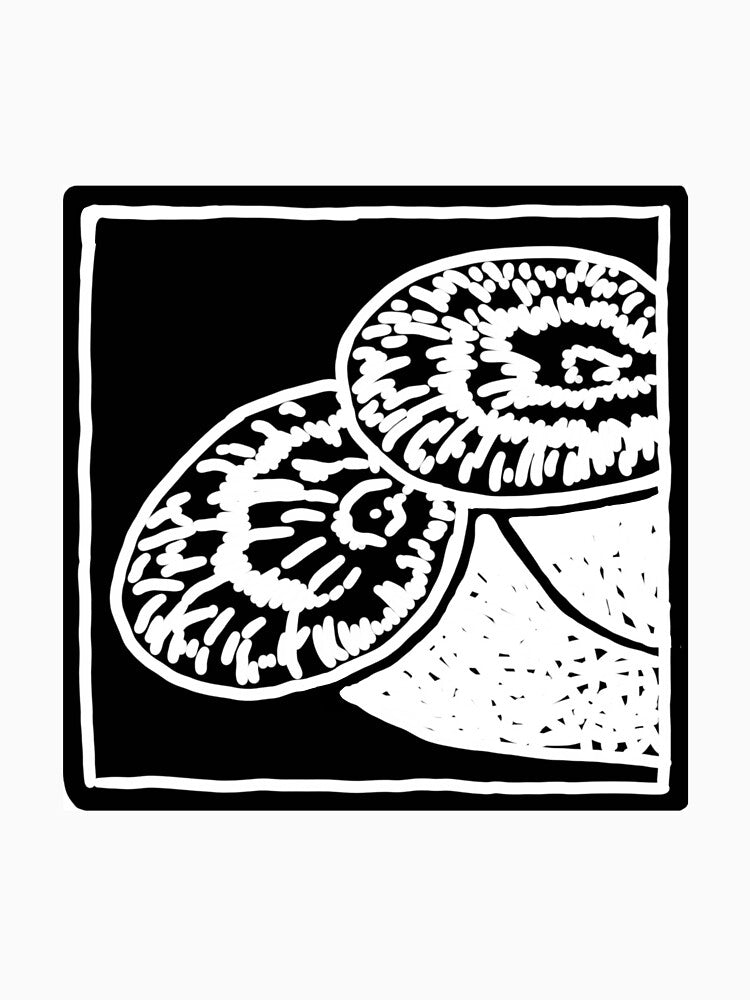 Dryad's Saddle Mushroom by marjamjelly
