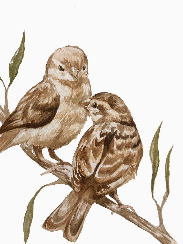 Watercolor House Sparrows by Alyx-Jeann