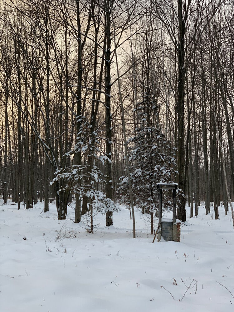Pure Michigan by Jheinzelmann