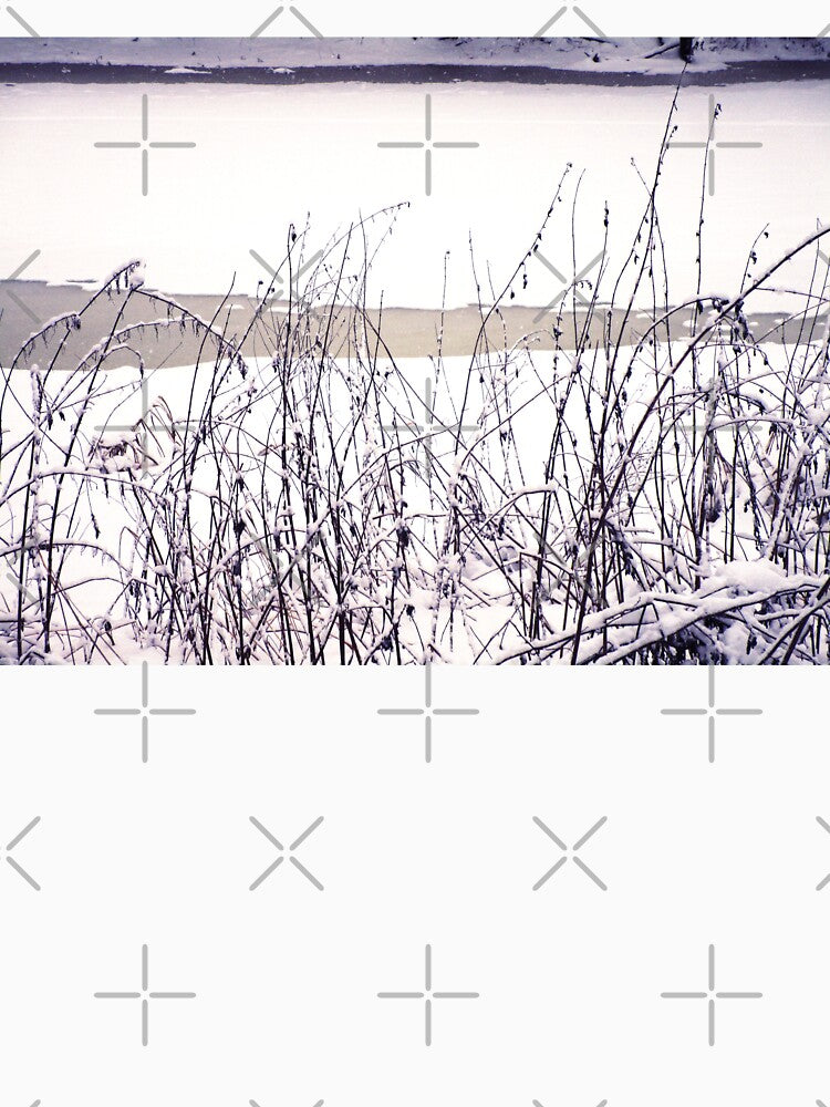 Snowy dry grass cloudy landscape | Grass with snow winter landscape by lausn
