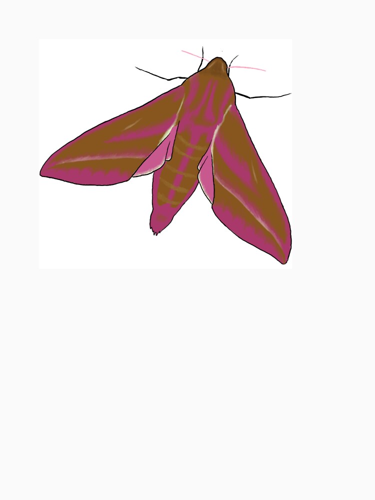 Elephant Hawk Moth by Cerys O'Connell
