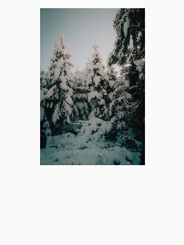 Winter Wonderland by asun5