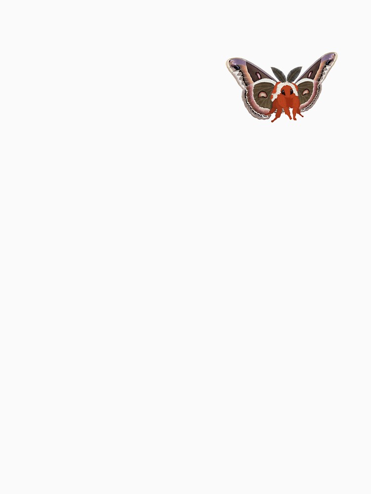 Cute Fluffy Cecropia Moth (Hyalophora Cecropia) by EnchantedMoths