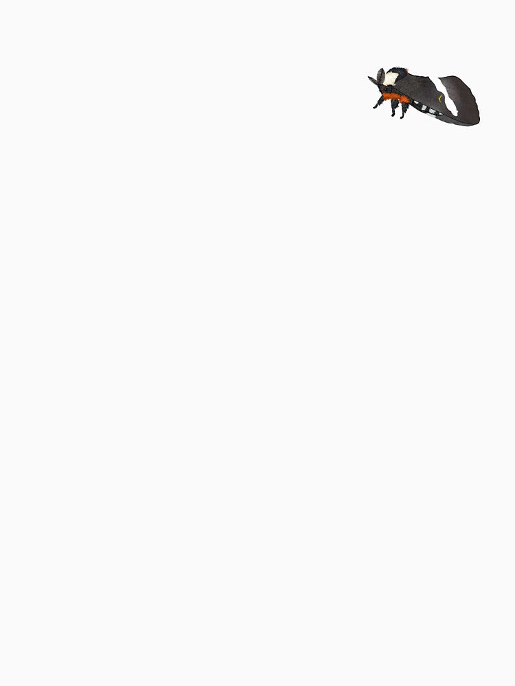 Buck Moth (Hemileuca Maia) Cute Moth Sticker by EnchantedMoths