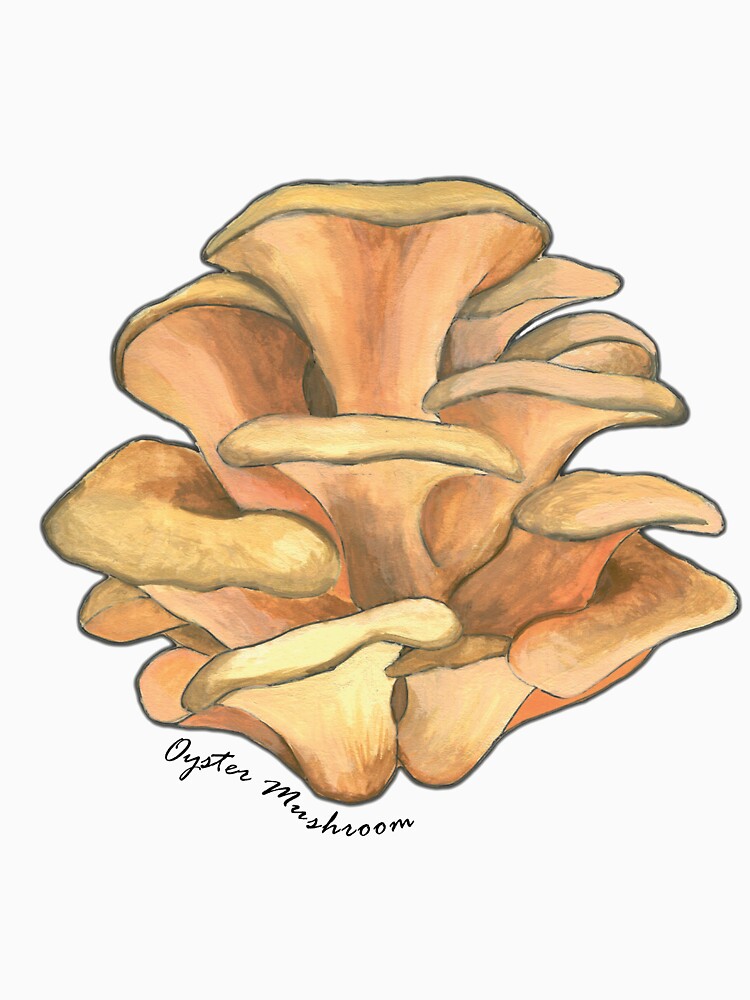 Oyster Mushroom by thesloaneranger