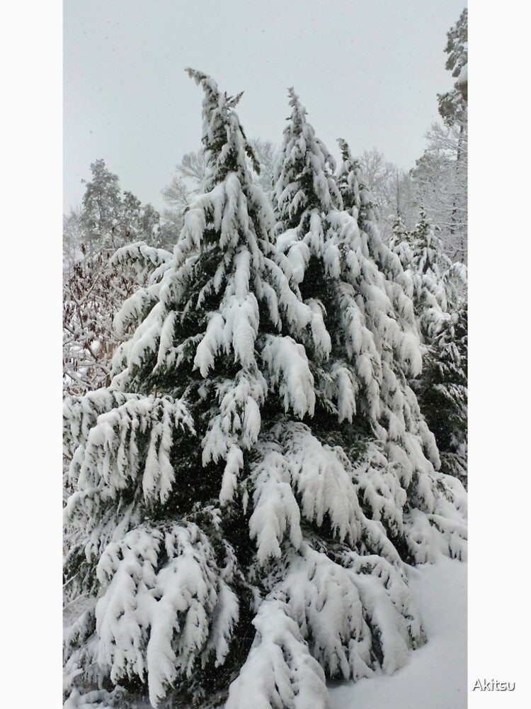 Winter Wonderland by Akitsu