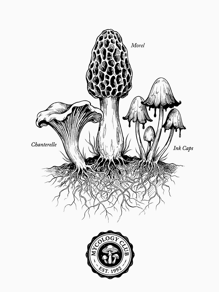 Botanical Mycology Collection - Mushroom Aesthetic by bapupa