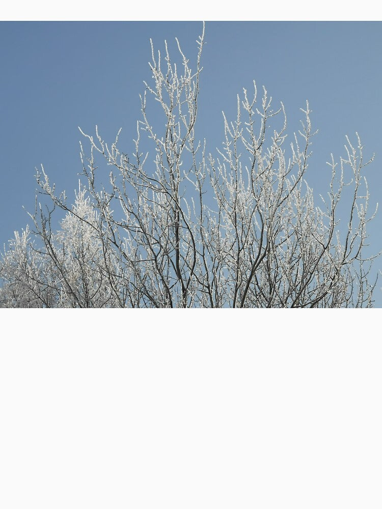 Winter trees by Abaj