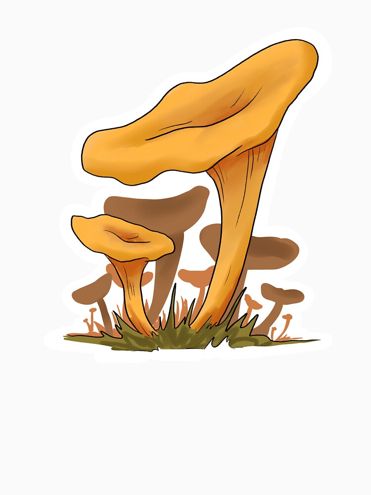 Chanterelle Mushrooms by Spittyfishy