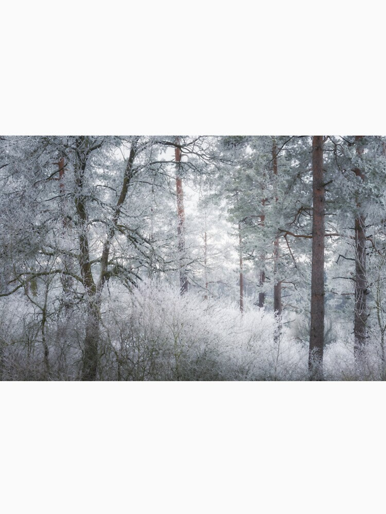 Winter wonderland by PhotoLux