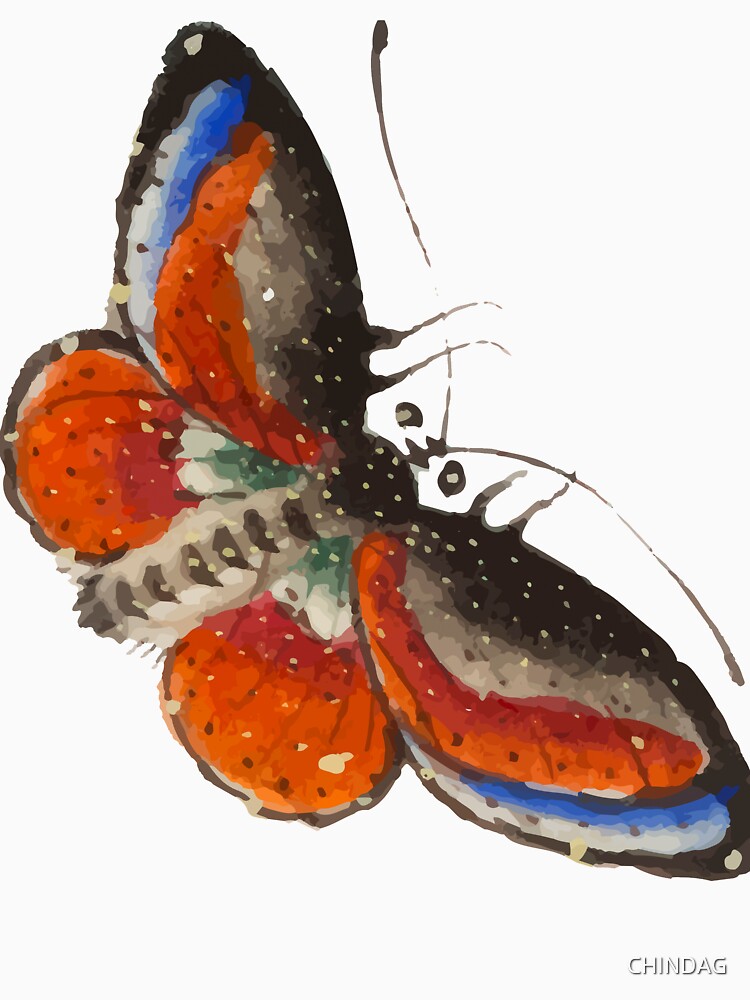 moth t shirt designs by CHINDAG
