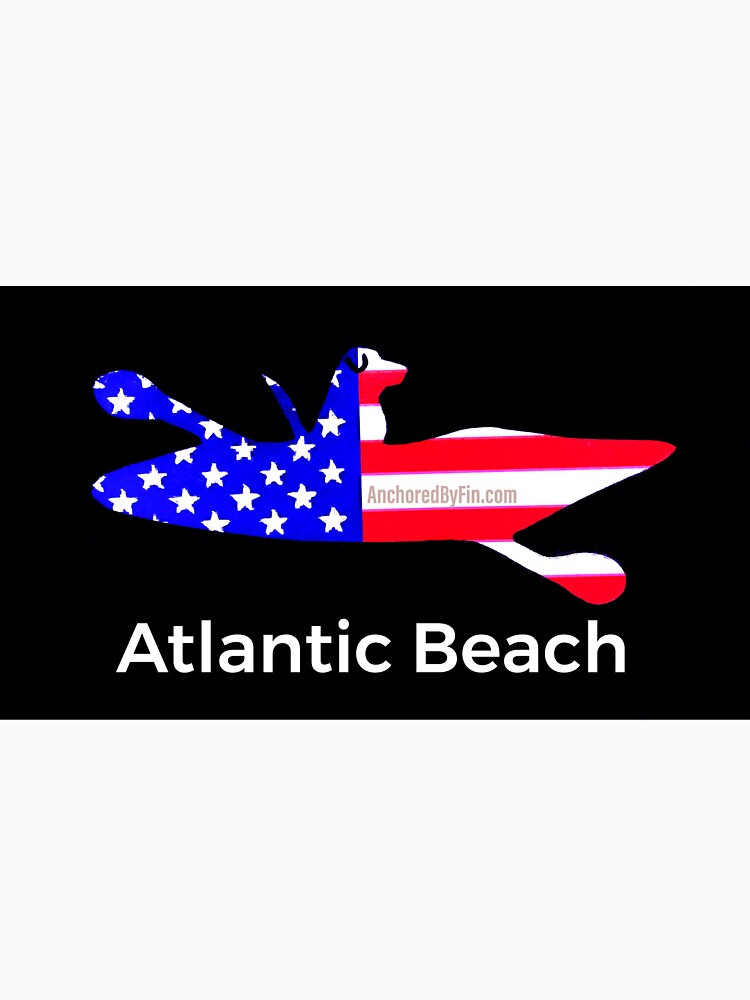 Atlantic Beach US Kayak Dog by barryknauff