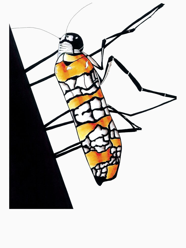 Ailanthus Webworm Moth Drawing - Ink Design by SfidaDesigns