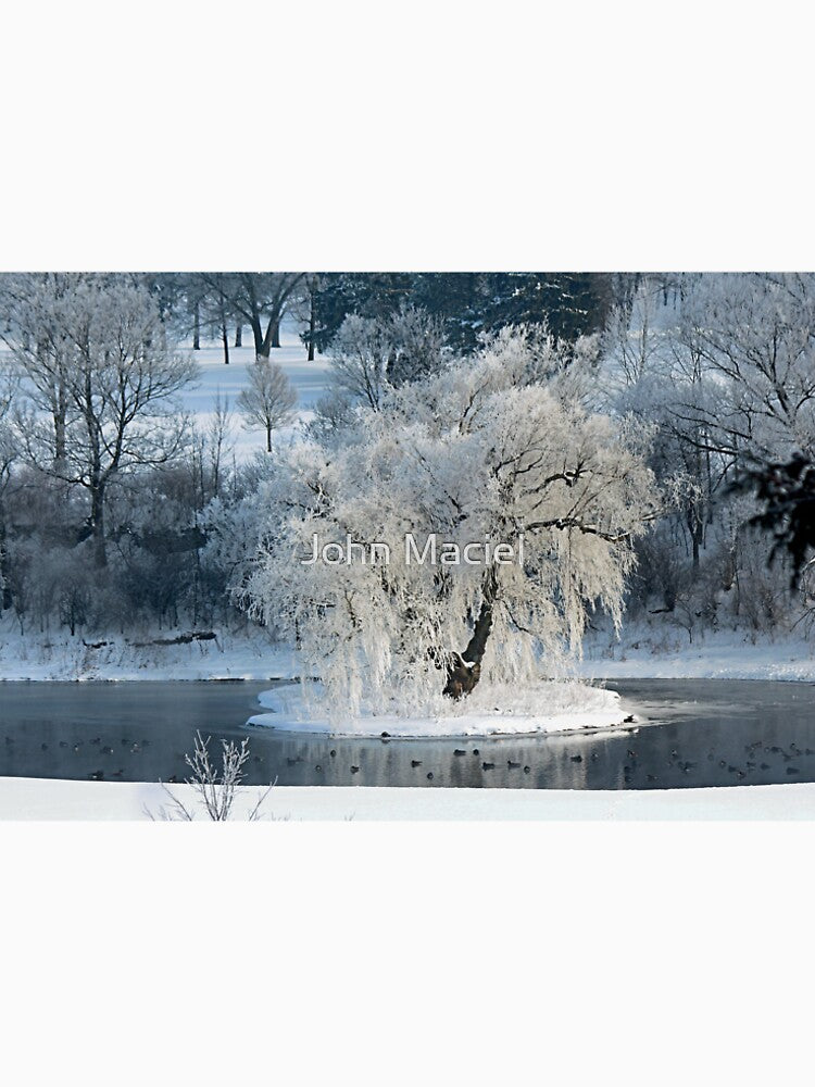 Winter Wonderland by John Maciel