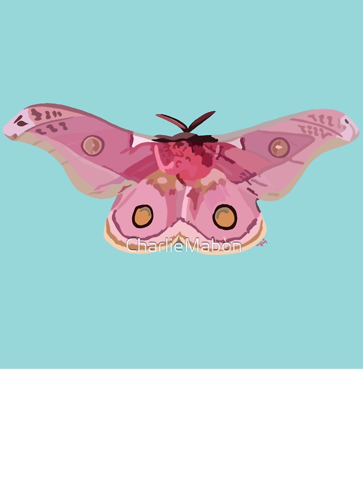Pink Emperor Gum Moth by CharlieMabon