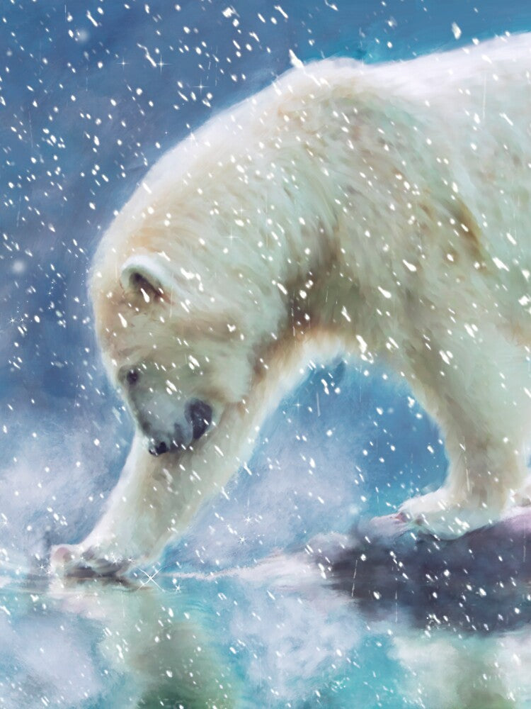A polar bear at the water by Gatterwe