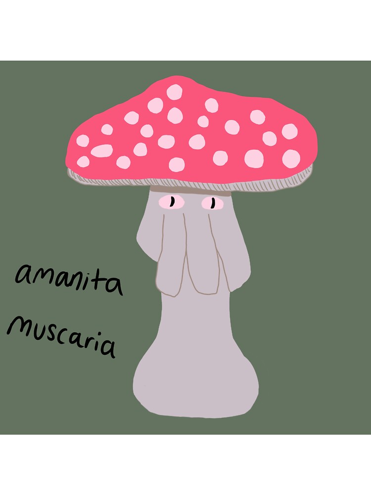 Amanita Muscaria by Fungus Mungus