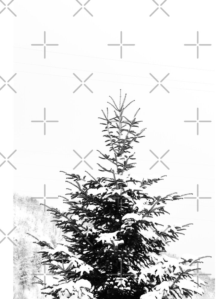 Black and white fir tree snow background by by-jwp