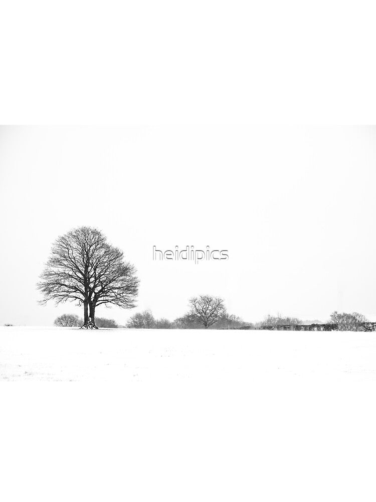 Winter Wonderland by heidipics