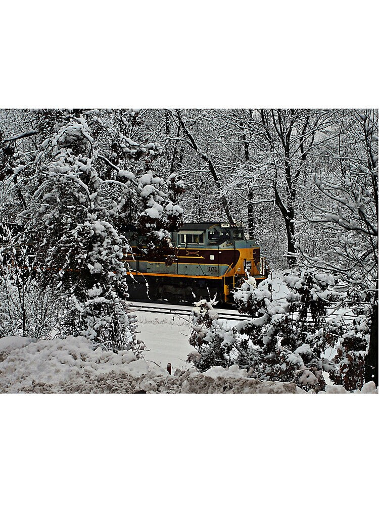 Winter Wonderland by RandyDyer