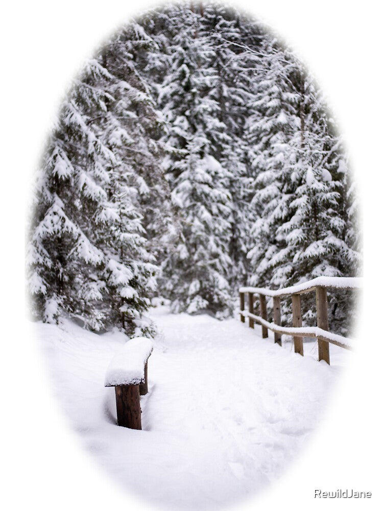 Winter Wonderland by RewildJane