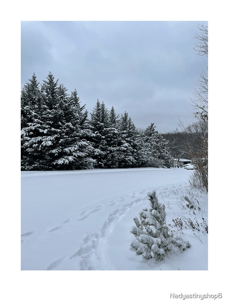 Winter Wonderland by Nadyastinyshop8
