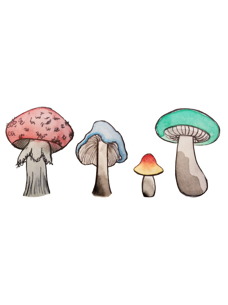 mushrooms! by imfeelingbatty