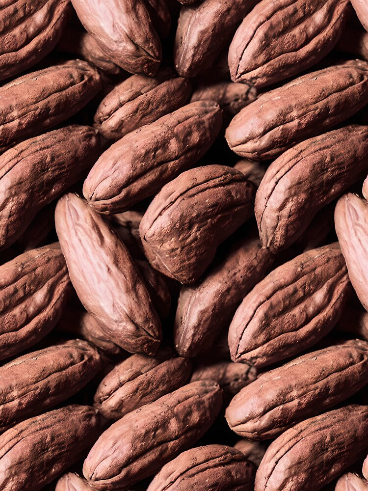 Cocoa Bean Pattern by Pattrnz