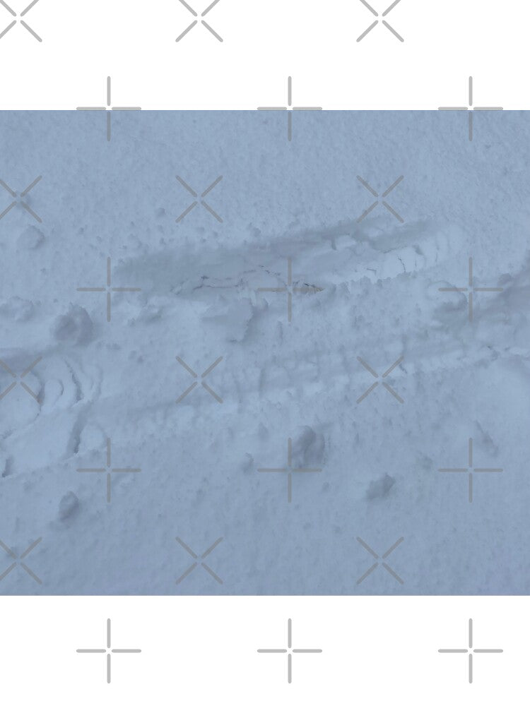 Tracks in the deep snow by CJRPics