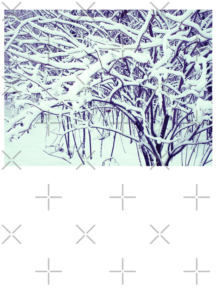 Winter snowy tree branches photography | Snow vibes aesthetic photography by lausn