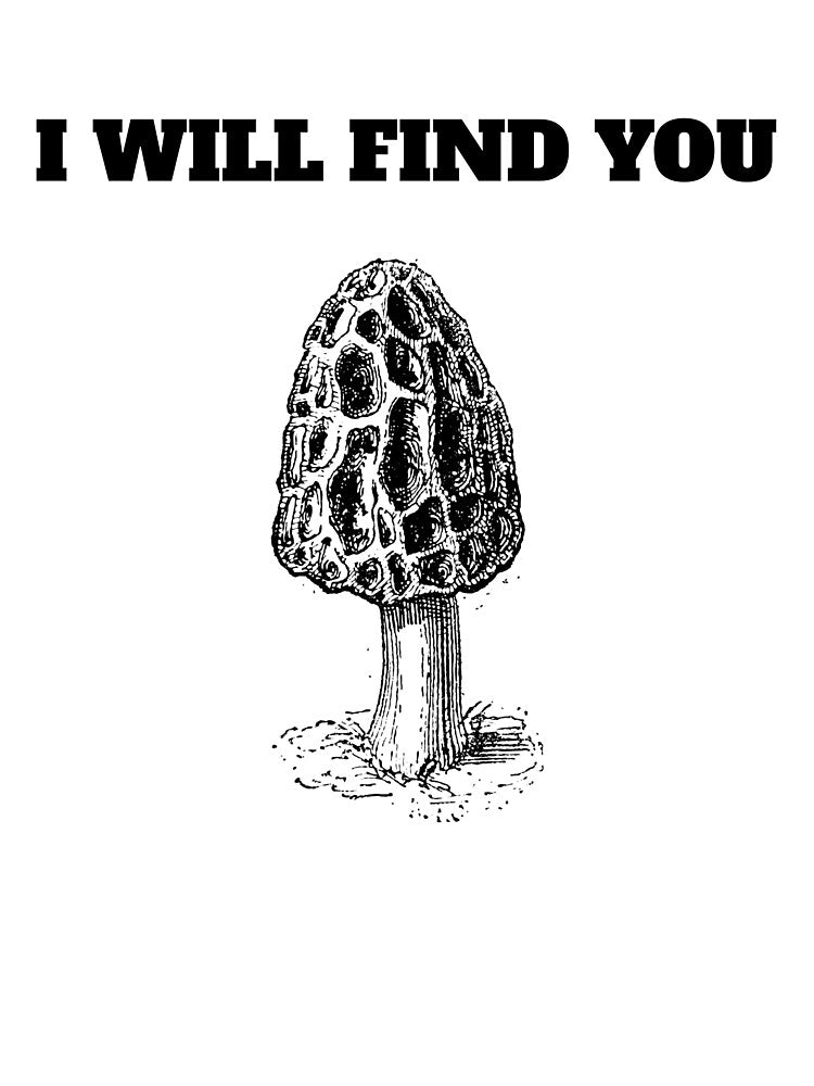 Morchella mushroom fungi morel by Jeangel97