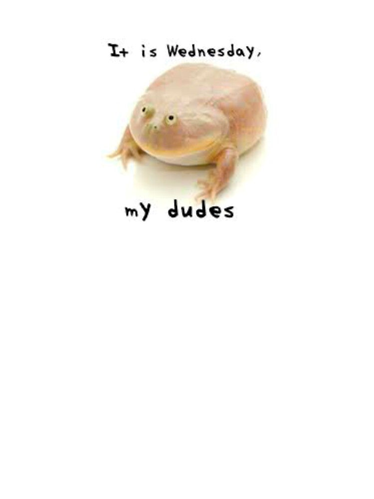 Wednesday My Dudes by Lauren Kenney