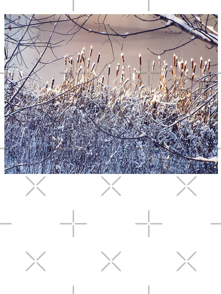 Snowy dry grass landscape photography | Grass with snow landscape by lausn