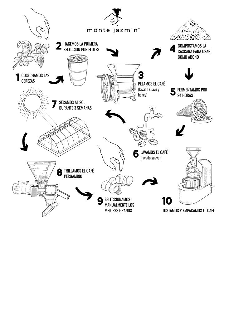 coffee process by southheath
