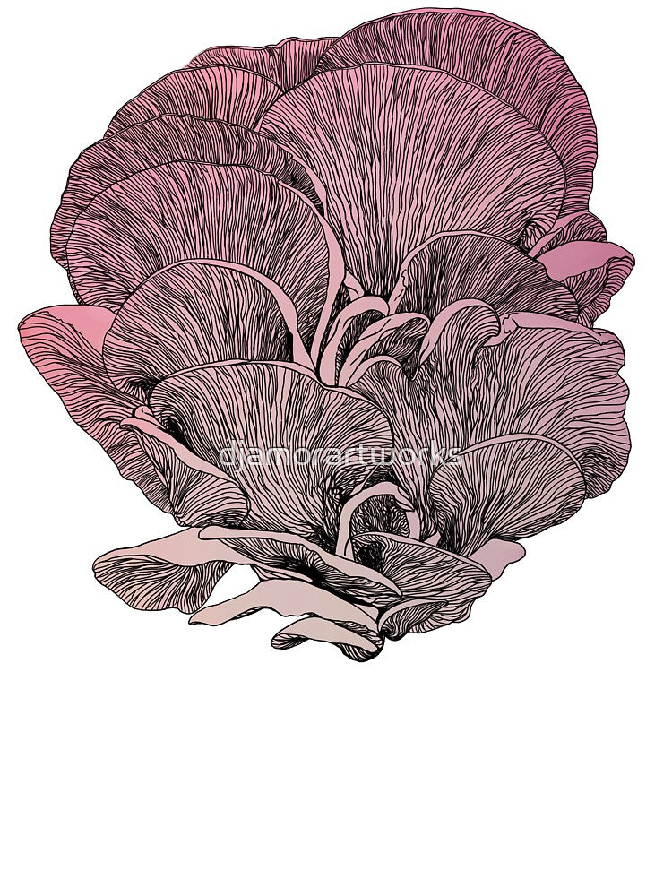 Pink Oyster Mushroom, Pleurotus Djamor by djamorartworks