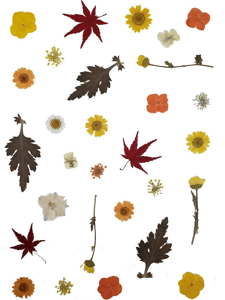 Autumn Flowers and Leave - Cottagecore Nature Pattern by Hedovuiggu