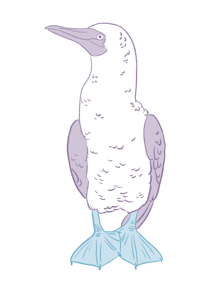 Blue Booby by Sigi-Fairytale