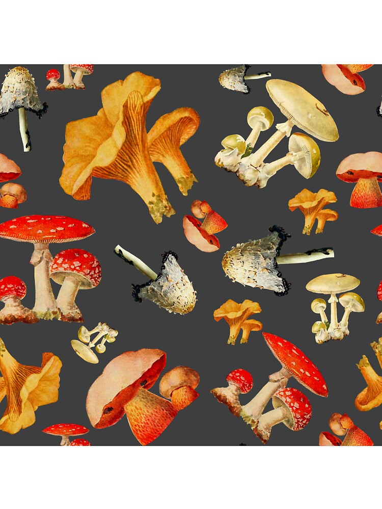 Mushroom medley in grey by Bunny  Belafonte