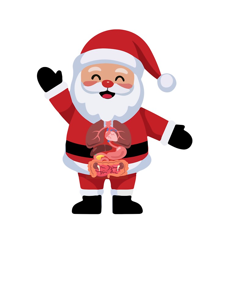 Anatomical Santa by MerryMedGingerbread