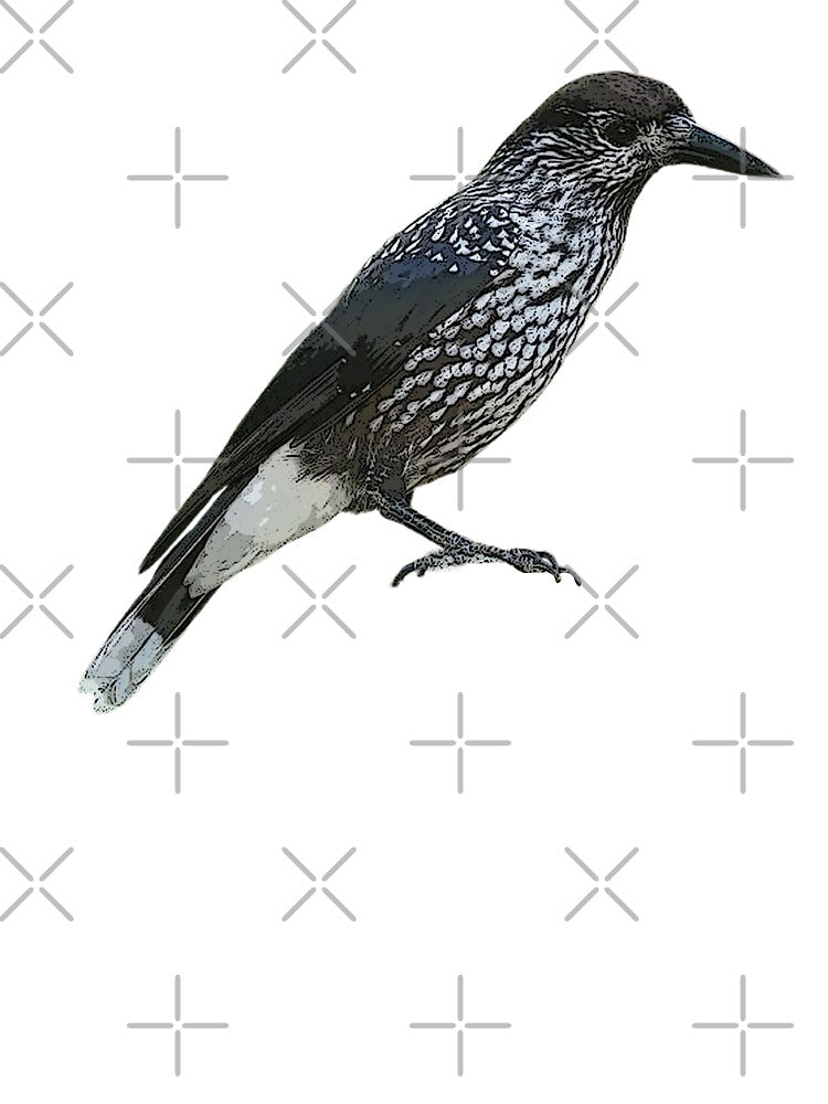 Northern Eurasian Nutcracker Color Design by designsasstultd