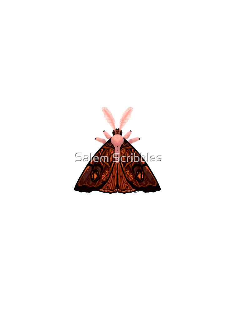 Dark Wood Moth by Salem Scribbles