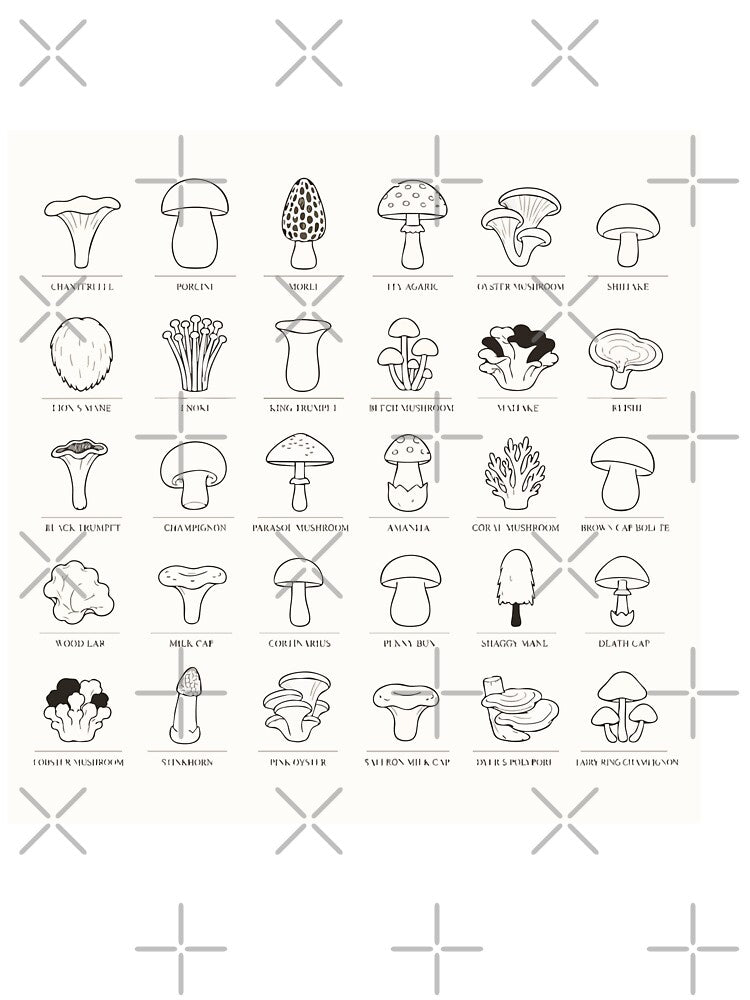 Mushroom Identification Chart Vintage Mycology Field Guide by SimplePoDesign