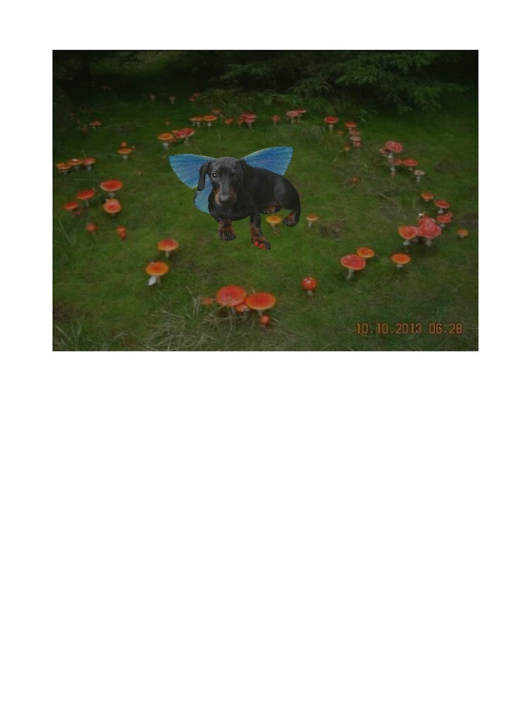Sweet dachshund fairy by lolliesonsunday