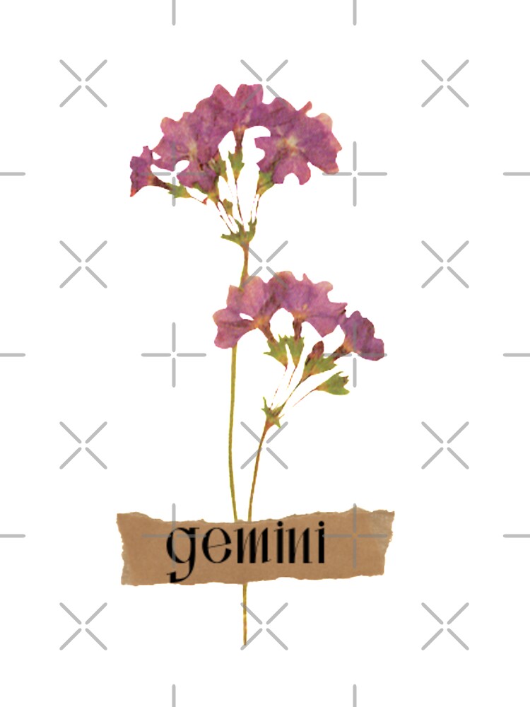 ''gemini'' caesalpinia painted flower by Uylia7