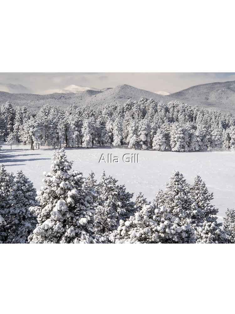 Winter Wonderland by Alla Gill