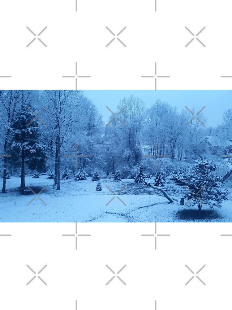 winter wonderland by Night-parade