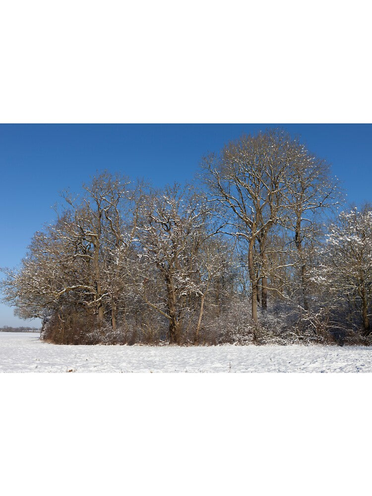 Winter Wonderland by Nick Atkin