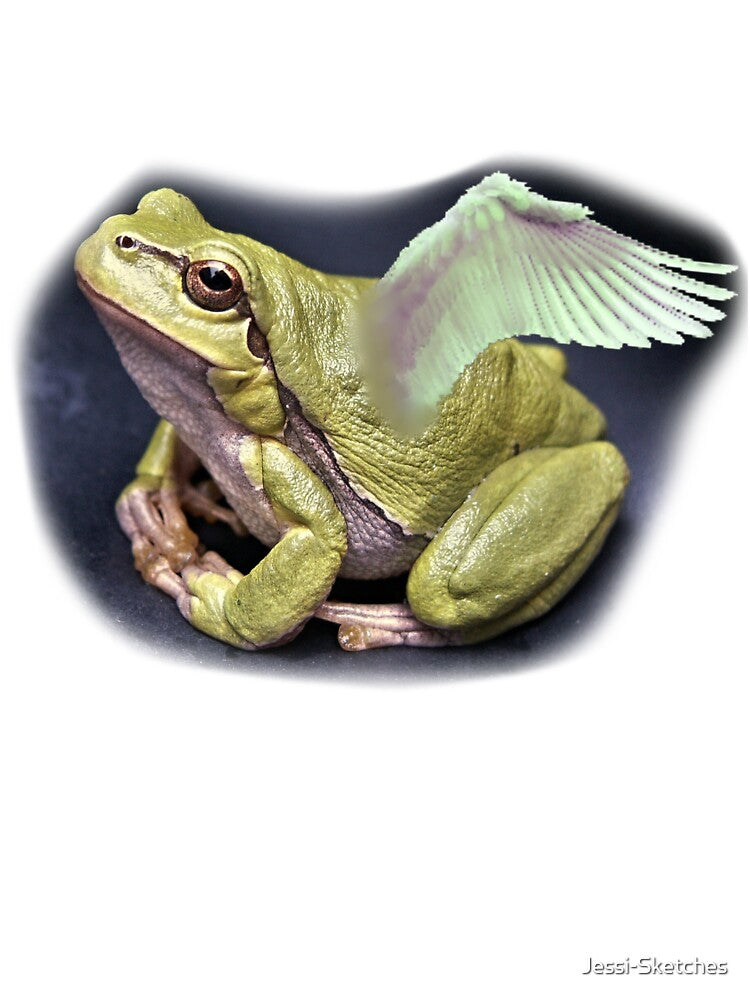 Frog Angel by Jessi-Sketches